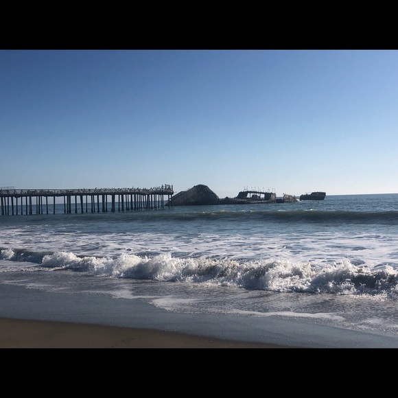 Meet your Posher, Amy - Picture 10 of 12